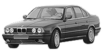 BMW E34 C258E Fault Code
